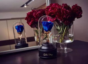 送她一份永不凋謝的英式花禮，讓陪伴更長久